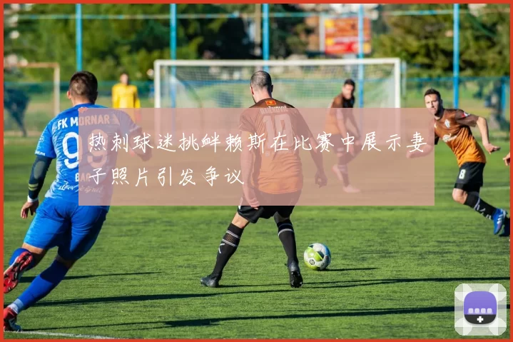 热刺球迷挑衅赖斯在比赛中展示妻子照片引发争议